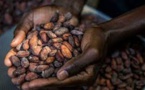 Nouvelle ère pour les exportateurs ivoiriens de cacao