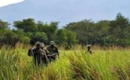 RDC: les périlleuses missions des écogardes du parc des Virunga