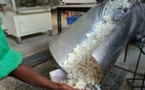 Madagascar: la guerre des savons fait rage