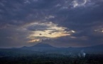 Exploitation du pétrole dans le parc de Virunga: une option «pas envisageable» pour WWF