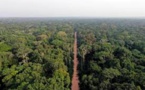 RDC: la déforestation au menu du conseil des ministres