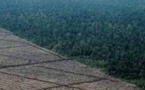 Gaz à effet de serre, déforestation: doutes sur les chiffres produits par la Malaisie et l'Indonésie