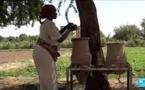 À Khartoum, le quartier agricole de Tuti veut continuer la résistance contre le putsch au Soudan