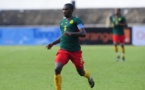 Mondial-2014: Nigeria, Côte d'Ivoire et Cameroun qualifiés africains