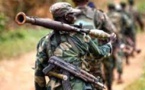 La RDC autorise l'armée ougandaise à entrer en Ituri et au Nord Kivu pour lutter contre les ADF
