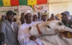 Macky Sall veut mettre fin au vol de bétails et aux conflits entre éleveurs et agriculteurs