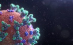 Covid-19 : la présence du variant Omicron confirmée dans 23 pays