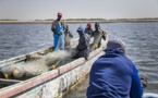 Joal : 12 pêcheurs arrêtés pour avoir kidnappés 4 militaires marins bissau-guinéens