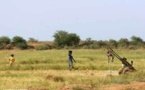 L’AFD appuie le développement de la microfinance pour les habitants des zones rurales et agricoles du Nord du Sénégal