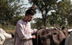 Centrafrique: transhumance à haut risque, la cohésion sociale en péril