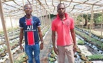Côte d'Ivoire: l'agriculture hors-sol, le nouveau défi des grandes villes africaines