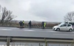 Un bœuf saute d’un camion et provoque un accident sur l'autoroute à Péage: le chauffeur atterrit en prison