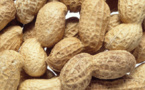 Grossesse : Manger des cacahuètes ne serait pas dangereux, au contraire