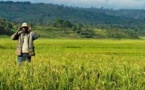 Burundi: un nouveau projet de loi pour la résolution des conflits fonciers