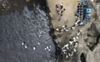 Pérou: le gouvernement déclare l'état d'urgence environnementale en raison de la marée noire