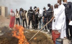 Journée internationale de la Douane : 5 tonnes de drogues incinérées ce mercredi