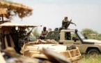 Takuba : la junte malienne redemande "avec insistance" le départ du contingent danois