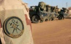 Une trentaine de jihadistes tués par l'armée malienne et la force Takuba près d'Indelimane