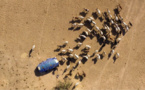 Tchad: des morts lors de nouveaux affrontements entre éleveurs et agriculteurs dans le Sud