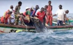 Rufisque: Inquiétude pour 12 pêcheurs disparus depuis 19 jours
