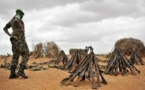 Somalie: comment se gouvernent et s'arment les shebabs
