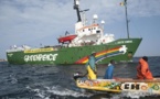Greenpeace Afrique:  le Sénégal doit  clarifier les circonstances de la libération de l'Oleg Naydenov