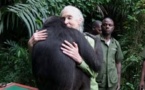 L'émouvant câlin d'une chimpanzée à son sauveur