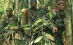 Nouveau massacre dans l'est de la RDC, malgré trois mois d'opérations face aux ADF
