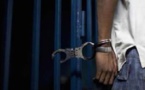 Vol de 165 cartons de poissons : 4 jeunes condamnés à 2 ans de prison ferme