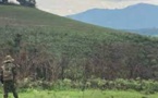 RDC: attaques meurtrières en série en territoire d'Irumu, le groupe ADF soupçonné