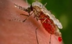 Dossier Paludisme : « Partout où le paludisme sévit, les enfants sont en danger ! »