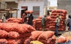 Filière Oignon :L’Etat du Sénégal bloque 7000 tonnes au Port l'UNACOIS menace
