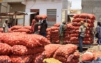 Filière Oignon :L’Etat du Sénégal bloque 7000 tonnes au Port l'UNACOIS menace