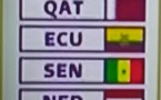 ​Coupe du monde 2022 : le Sénégal dans la poule A avec le Qatar, les Pays-Bas et Equateur