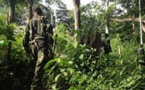 RDC: le gouvernement reconnaît une «défaillance» de l'armée lors d'une opération contre le M23