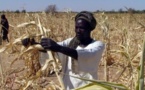 Le Tchad s'affiche au Salon de l'agriculture