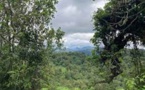 RDC: la forêt du Kahuzi Biega, objet de convoitises et de potentiels