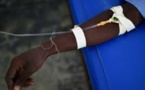 Cameroun: l’épidémie de choléra dans les prisons inquiète l'opposition