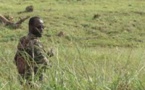 RD Congo : une trentaine de morts en deux jours en Ituri, les ADF soupçonnés