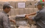 Augmentation des saisies de produits illicites en Algérie