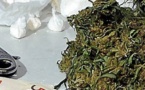 Afrique de l'Ouest:  cocaïne et cannabis très consommés 