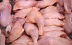Kaolack : 195 cartons de poulets entiers et de cuisses de poulet saisis par la Douane