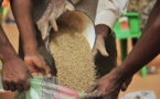 Productions agricoles 2013-2014 : le Sénégal et le Sahel en proie à la malnutrition
