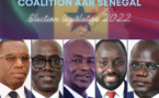 Décisions du Conseil constitutionnel: AAR Sénégal dénonce un « baara yeggo *» installant un malaise dans la démocratie sénégalaise 