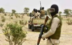 Niger: l'armée à l'offensive contre les groupes jihadistes dans le Gourma