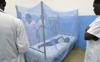 Santé : recrudescence des cas de paludisme à Touba