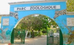 Parc zoologique de Hann : Une visiteuse "déchiquetée" par un singe