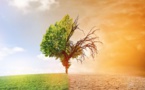 Signature d’une convention de 1,4 milliard FCFA pour lutter contre les changements climatiques