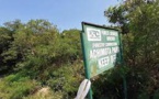 Ghana: la contestation s’organise pour sauver la forêt d’Achimota