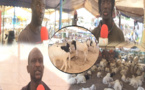Violences politiques  : ouf de soulagement pour les vendeurs de moutons suite au report de la manifestation de YAW 